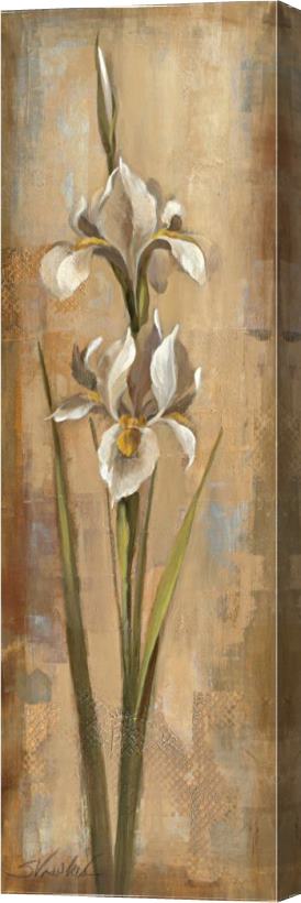 Silvia Vassileva Floral Grace II Stretched Canvas Painting / Canvas Art