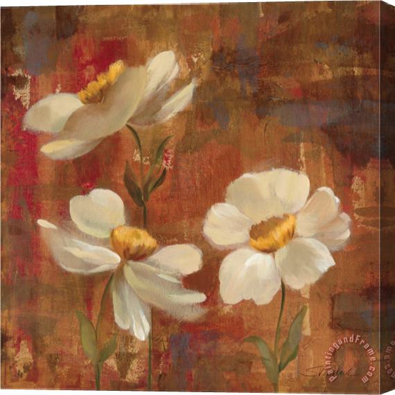 Silvia Vassileva Floral Trio I Stretched Canvas Painting / Canvas Art