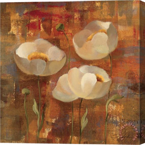 Silvia Vassileva Floral Trio II Stretched Canvas Painting / Canvas Art