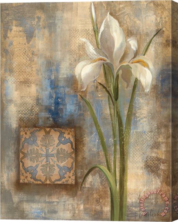 Silvia Vassileva Iris And Tile Stretched Canvas Print / Canvas Art