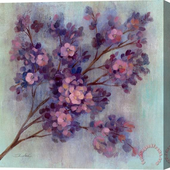 Silvia Vassileva Twilight Cherry Blossoms I Stretched Canvas Print / Canvas Art