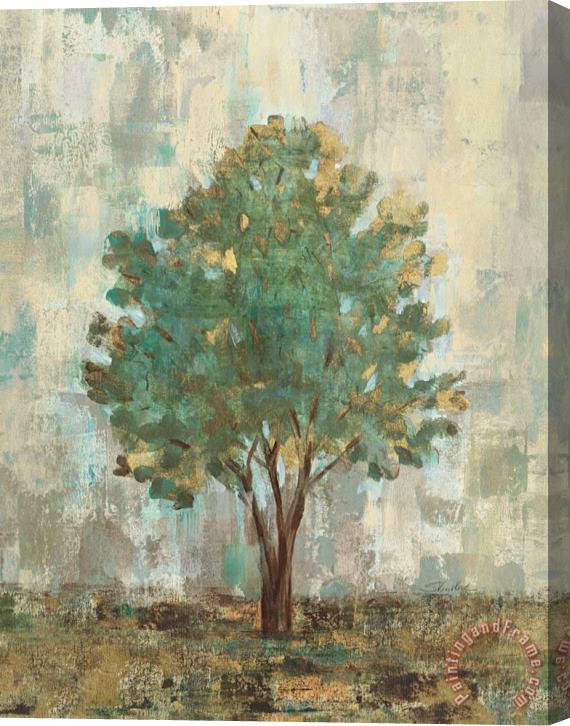 Silvia Vassileva Verdi Trees II Stretched Canvas Print / Canvas Art
