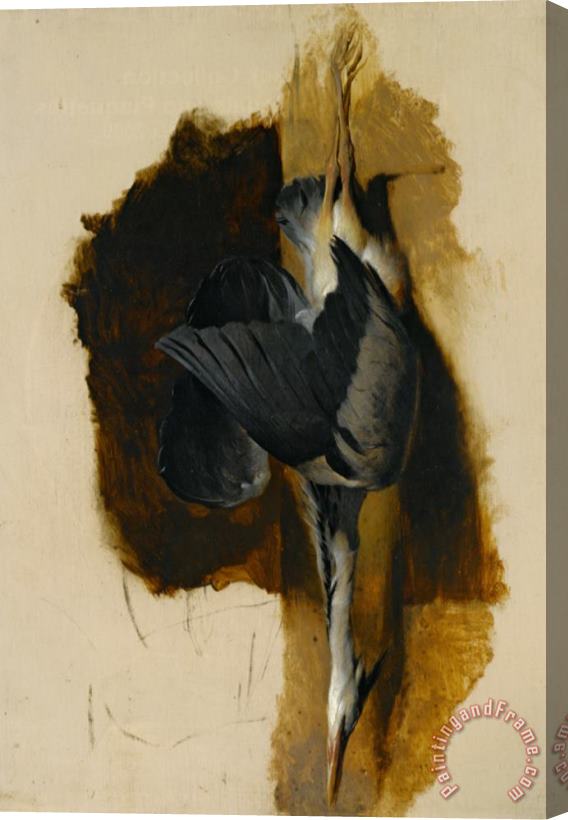 Sir Edwin Henry Landseer Study of a Dead Heron Stretched Canvas Print / Canvas Art