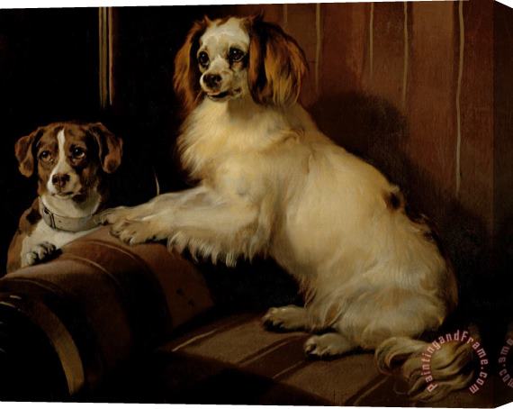 Sir Edwin Landseer Bony And Var Stretched Canvas Painting / Canvas Art