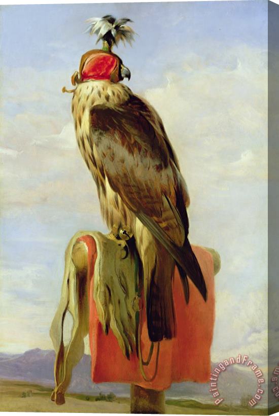 Sir Edwin Landseer Hooded Falcon Stretched Canvas Painting / Canvas Art