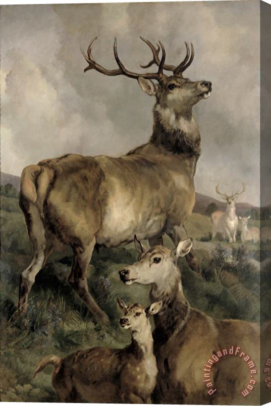 Sir Edwin Landseer The Noble Beast Stretched Canvas Painting / Canvas Art