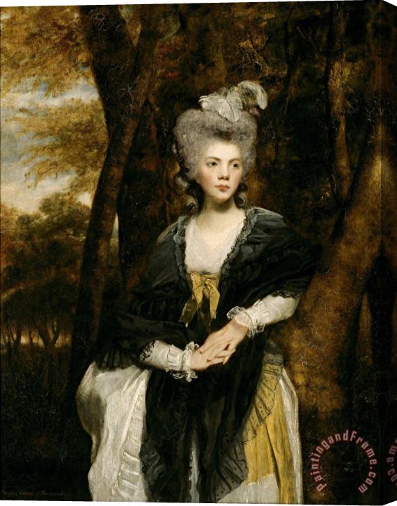 Sir Joshua Reynolds Lady Frances Finch Stretched Canvas Painting / Canvas Art