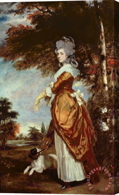 Sir Joshua Reynolds Mary Amelia First Marchioness of Salisbury Stretched Canvas Painting / Canvas Art