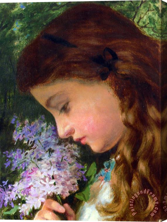 Sophie Gengembre Anderson Girl with Lilac Stretched Canvas Painting / Canvas Art