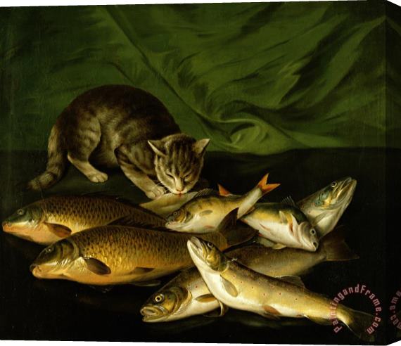 Stephen Elmer A Cat with Trout Perch and Carp on a Ledge Stretched Canvas Painting / Canvas Art