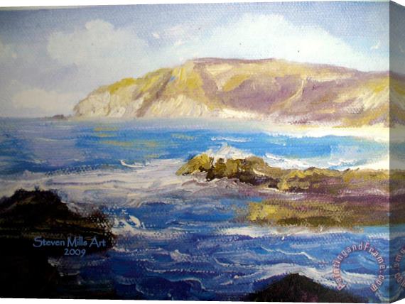Steven Mills Cal Coast Stretched Canvas Painting / Canvas Art