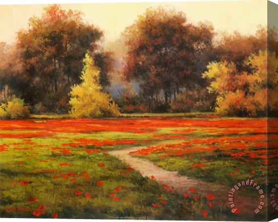 T. C. Chiu Poppy Meadows I Stretched Canvas Painting / Canvas Art