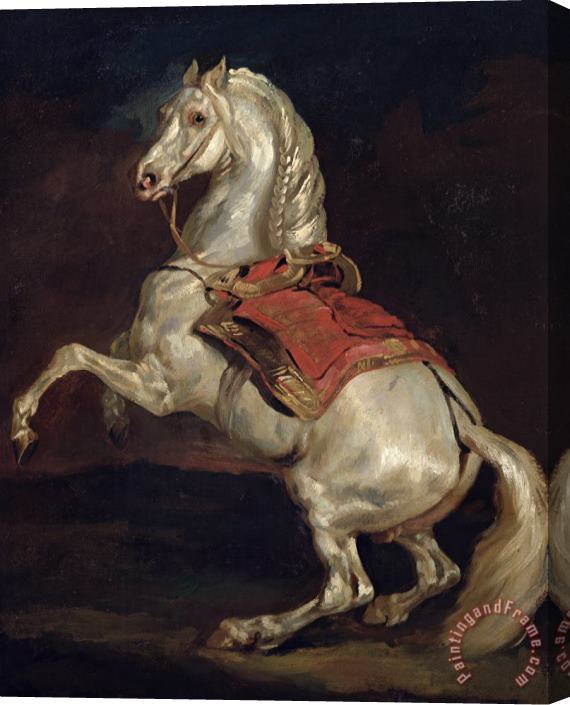 Theodore Gericault Napoleon's Stallion Tamerlan Stretched Canvas Painting / Canvas Art