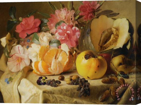 Theude Gronland Still Life with Autumn Fruits Stretched Canvas Print / Canvas Art