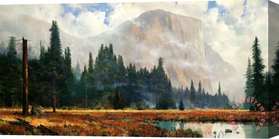 Thomas Kinkade Yosemite Meadow Stretched Canvas Painting / Canvas Art