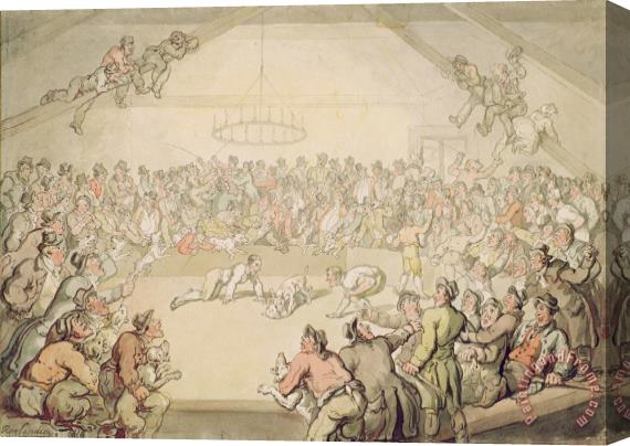 Thomas Rowlandson The Dog Fight Stretched Canvas Painting / Canvas Art