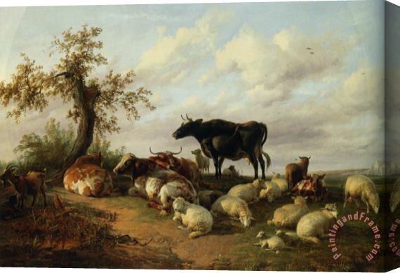 Thomas Sidney Cooper Cattle Sheep And Goats Stretched Canvas Print / Canvas Art