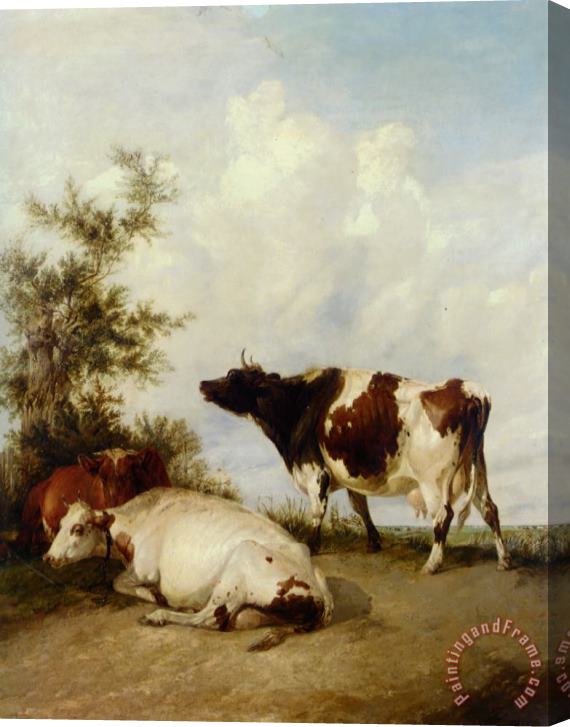Thomas Sidney Cooper Cows in a Meadow Stretched Canvas Painting / Canvas Art