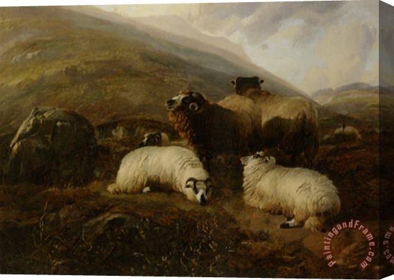 Thomas Sidney Cooper Sheep in The Highlands Stretched Canvas Painting / Canvas Art