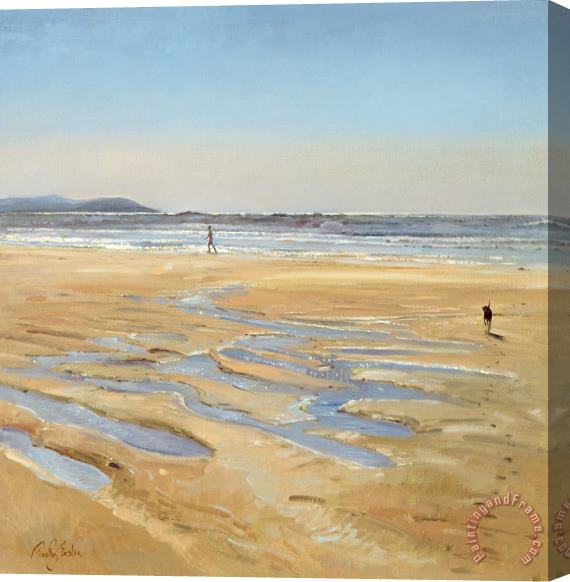 Timothy Easton Beach Strollers Stretched Canvas Print / Canvas Art