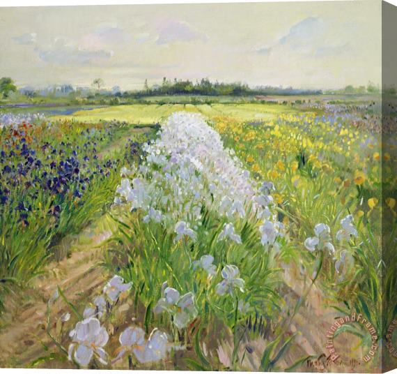 Timothy Easton Down the Line Stretched Canvas Print / Canvas Art