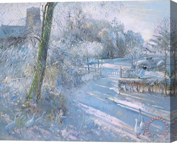 Timothy Easton Hoar Frost Morning Stretched Canvas Print / Canvas Art