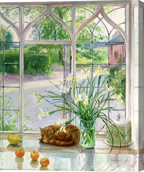 Timothy Easton Irises And Sleeping Cat Stretched Canvas Painting / Canvas Art