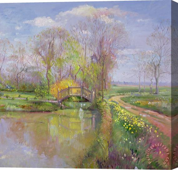 Timothy Easton Spring Bridge Stretched Canvas Print / Canvas Art
