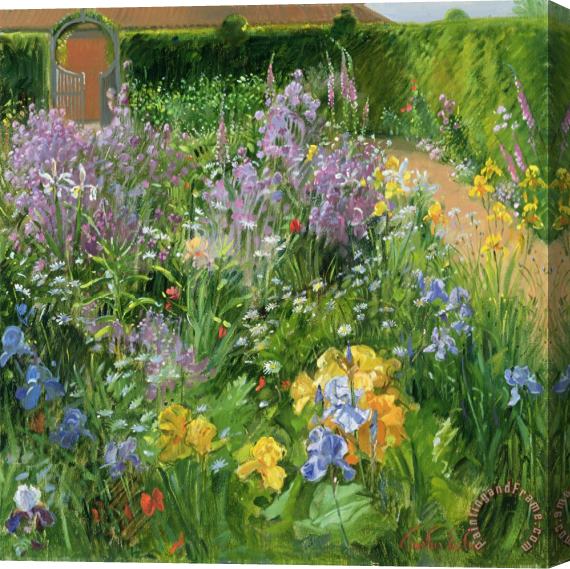 Timothy Easton Sweet Rocket - Foxgloves and Irises Stretched Canvas Print / Canvas Art