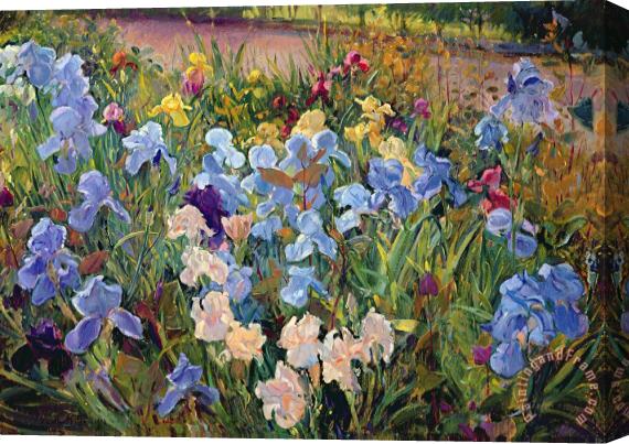 Timothy Easton The Iris Bed Stretched Canvas Painting / Canvas Art