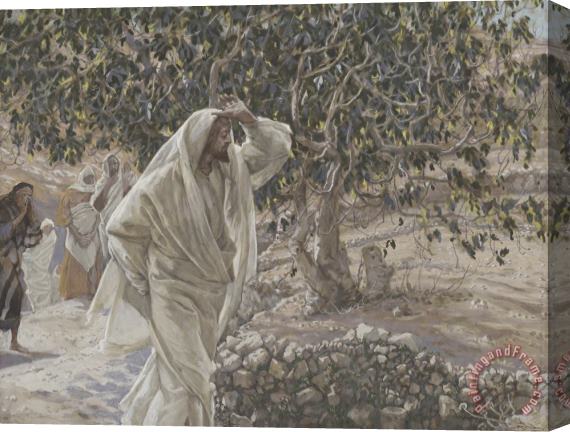 Tissot The Accursed Fig Tree Stretched Canvas Print / Canvas Art