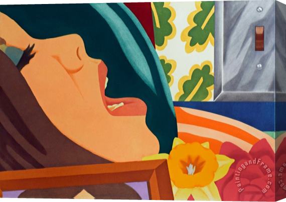 Tom Wesselmann Bedroom Face, 1977 Stretched Canvas Print / Canvas Art