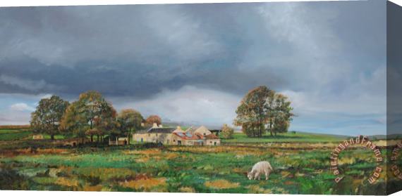 Trevor Neal Old Farm - Monyash - Derbyshire Stretched Canvas Print / Canvas Art
