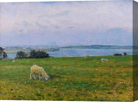Viggo Johansen Sheep Grazing Stretched Canvas Painting / Canvas Art