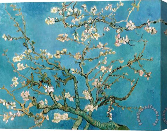 Vincent van Gogh Almond Branches In Bloom Stretched Canvas Painting / Canvas Art