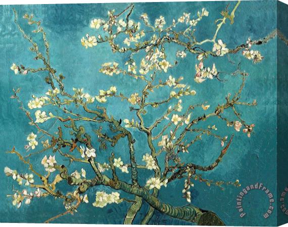 Vincent van Gogh Blossoming Almond Tree Stretched Canvas Print / Canvas Art