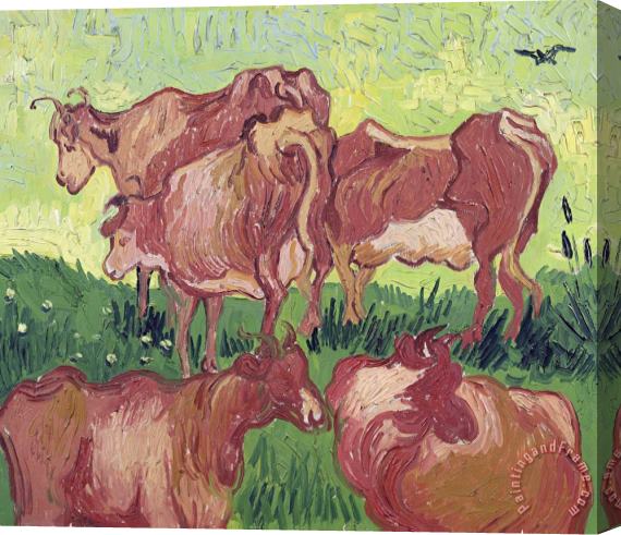 Vincent van Gogh Cows Stretched Canvas Print / Canvas Art