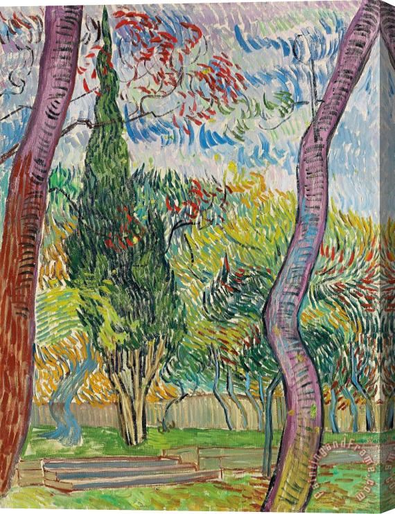 Vincent van Gogh The Garden Of St Pauls Hospital Stretched Canvas Print / Canvas Art