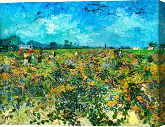 Vincent van Gogh The Green Vineyard Stretched Canvas Painting / Canvas Art