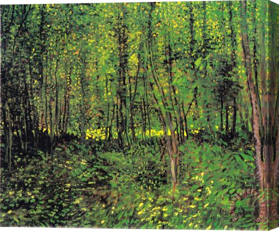 Vincent van Gogh Trees And Underwood Stretched Canvas Print / Canvas Art