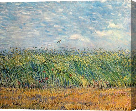 Vincent van Gogh Wheatfield With Lark Stretched Canvas Painting / Canvas Art