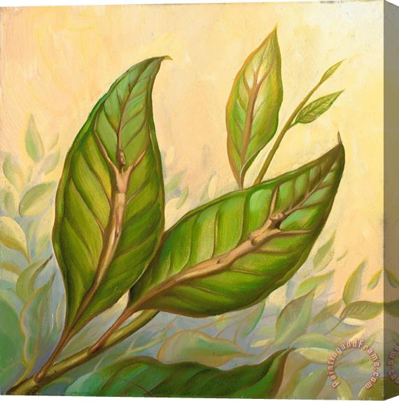 Vladimir Kush Leaves of One Tree Stretched Canvas Print / Canvas Art