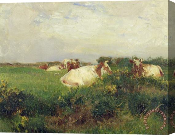 Walter Frederick Osborne Cows in Field Stretched Canvas Print / Canvas Art