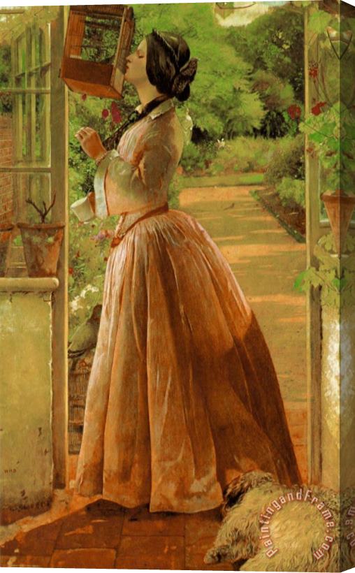 Walter Howell Deverell A Pet Stretched Canvas Painting / Canvas Art