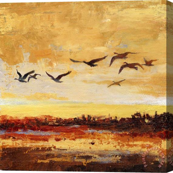 Wendy Kroeker Canada Geese in Flight 1 Stretched Canvas Print / Canvas Art