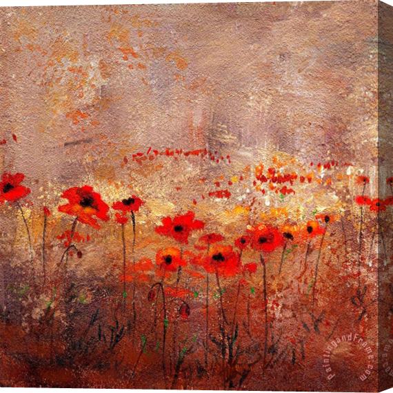 Wendy Kroeker Field Poppies 3 Stretched Canvas Painting / Canvas Art