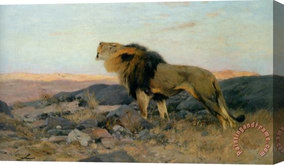Wilhelm Kuhnert Brullender Lowe in Steiniger Steppe Stretched Canvas Painting / Canvas Art