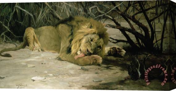 Wilhelm Kuhnert Lion Reclining in a Landscape Stretched Canvas Painting / Canvas Art