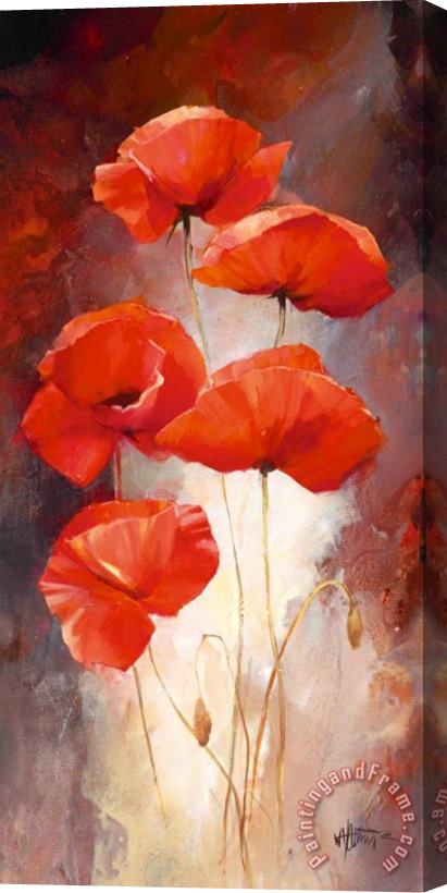 willem haenraets Poppy Bouquet I Stretched Canvas Print / Canvas Art