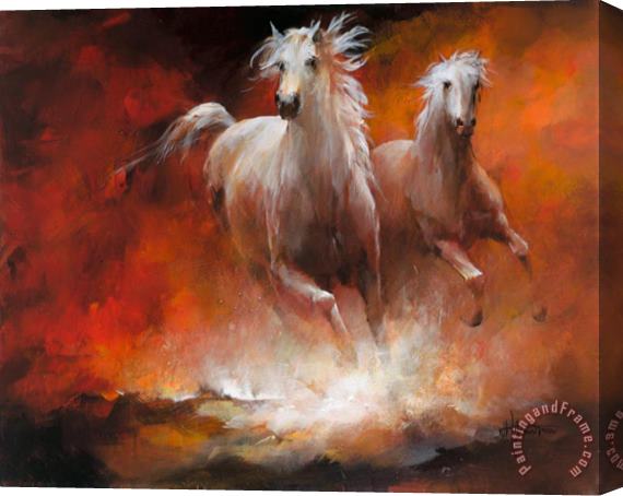willem haenraets Wild Horses Ii Stretched Canvas Painting / Canvas Art